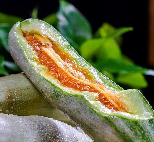 摩博会网红吃瓜,揭秘幕后故事与精彩瞬间